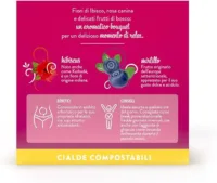 Caffè Borbone Tisana ai Frutti di Bosco – 72 Cialde ESE 44mm Compostabili – Infuso Naturale dal Gusto Intenso - immagine 4