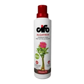 Cifo Algatron