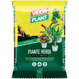 Vigor Plant Terriccio Piante Verdi