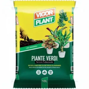 Vigor Plant Terriccio Piante Verdi