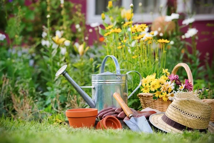 Giardinaggio: consigli attrezzi e tecniche per un giardino perfetto