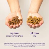 Edgard & Cooper Crocchette Cani Adulti 7Kg – Agnello Fresco – Alimento Naturale e Nutriente per Cani di Taglia Media e Grande - immagine 5