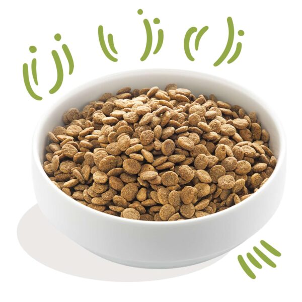 Edgard & Cooper Crocchette Cani Adulti 7Kg – Agnello Fresco – Alimento Naturale e Nutriente per Cani di Taglia Media e Grande - immagine 4