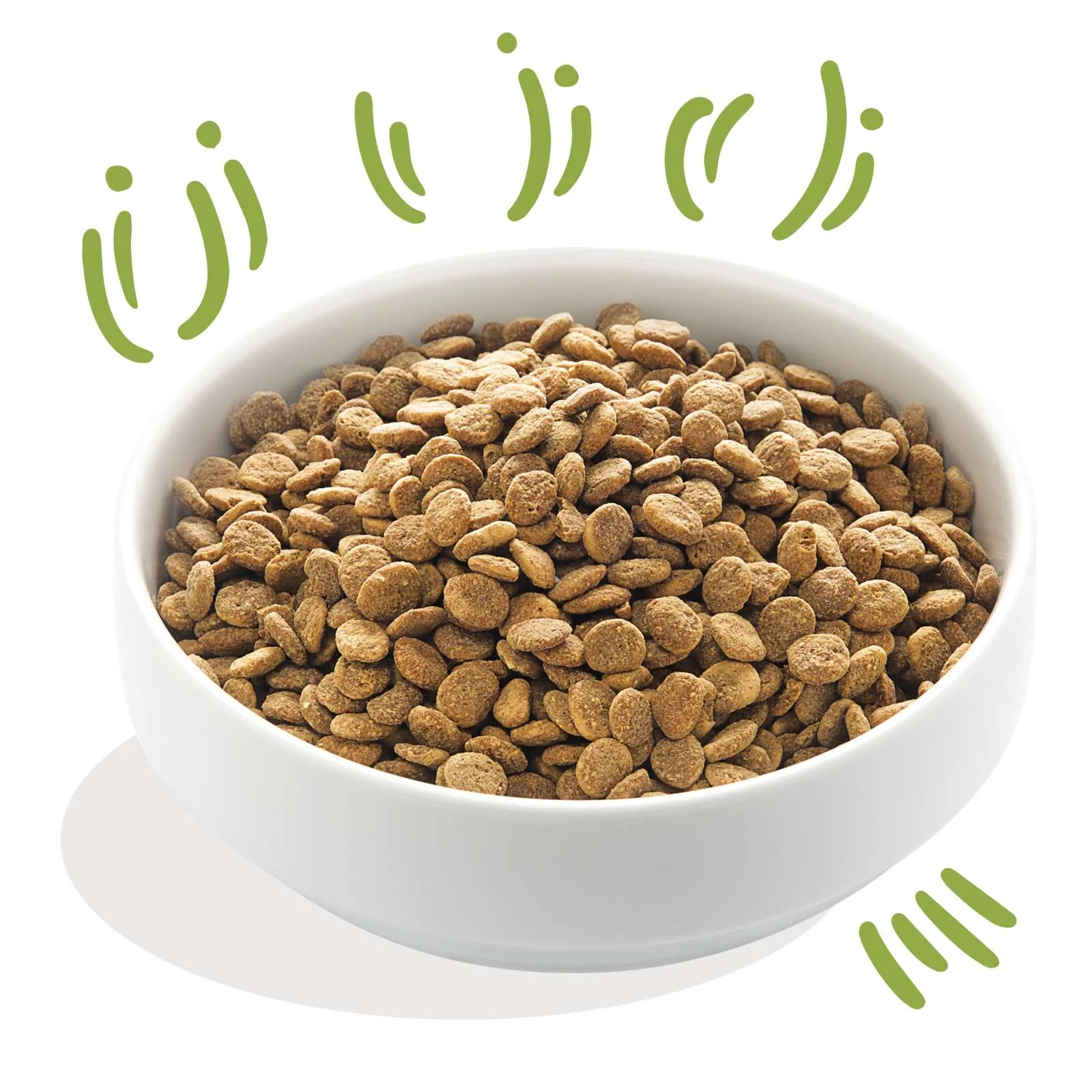 Edgard & Cooper Crocchette Cani Adulti 7Kg – Agnello Fresco – Alimento Naturale e Nutriente per Cani di Taglia Media e Grande - immagine 4