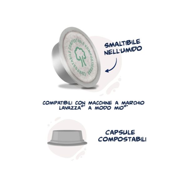 Caffè Borbone Don Carlo Oro - Compatibile A Modo Mio - Miscela Pregiata e Aromatica - Box da 50 Capsule - immagine 5