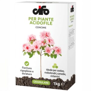 Confezione CIFO Concime Piante Acidofile 1 kg per azalee, rododendri, camelie e ciclamini, ideale per fioriture rigogliose e durature.