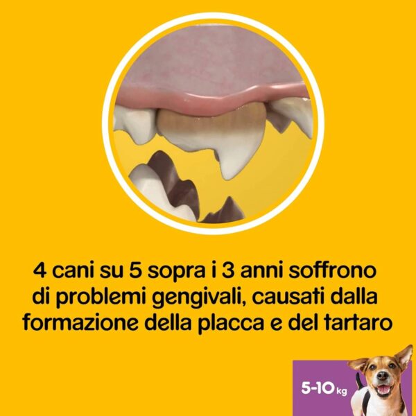 Pedigree Dentastix per Cani Piccola Taglia 5-10 kg – 105 Bastoncini Igiene Orale – 110g - immagine 5