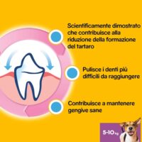 Pedigree Dentastix per Cani Piccola Taglia 5-10 kg – 105 Bastoncini Igiene Orale – 110g - immagine 6