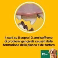 Pedigree Dentastix per Cani Taglia Grande +25 kg – 105 Bastoncini Igiene Orale – Snack Dentale 270g (15 Confezioni da 7 Pezzi) - immagine 5