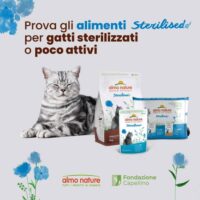 Almo Nature Sterilised Tonno – Cibo Umido Naturale per Gatti Adulti Sterilizzati – 30 Bustine da 70g (2,1 kg Totali) – Alta Qualità e Ingredienti Selezionati - immagine 4