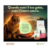Almo Nature Anti Hairball Manzo – Cibo Umido Naturale per Gatti Adulti – 30 Bustine da 70g (2,1 kg Totali) – Contro i Boli di Pelo, Alta Qualità - immagine 5