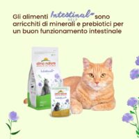 Almo Nature Intestinal Help Gatti Adulti – 30 Bustine da 70g (2,1 kg Totali) –  Umido al Pesce per Problemi Intestinali - immagine 3