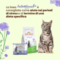 Almo Nature Intestinal Help Gatti Adulti – 30 Bustine da 70g (2,1 kg Totali) – Umido al Pollame per Problemi Intestinali - immagine 2