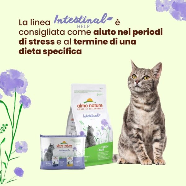 Almo Nature Intestinal Help Gatti Adulti – 30 Bustine da 70g (2,1 kg Totali) – Umido al Pollame per Problemi Intestinali - immagine 2