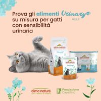 Almo Nature Urinary Help Gatti Adulti – 30 Bustine da 70g (2,1 kg Totali) – Alimento Umido al Pollo per Vie Urinarie - immagine 2