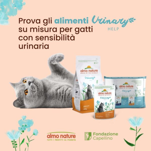 Almo Nature Holistic Urinary Help Gatti Adulti – 30 Bustine da 70g – Alimento Umido al Tacchino per Vie Urinarie - immagine 2