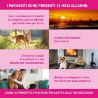 FRONTLINE Triact 6 Pipette per Cani Taglia M (10-20 kg) – Antiparassitario Lunga Durata Contro Pulci, Zecche, Zanzare, Pappataci e Leishmaniosi - immagine 3
