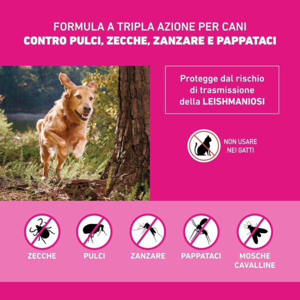 FRONTLINE Triact 6 Pipette per Cani Taglia M (10-20 kg) – Antiparassitario Lunga Durata Contro Pulci, Zecche, Zanzare, Pappataci e Leishmaniosi - immagine 5