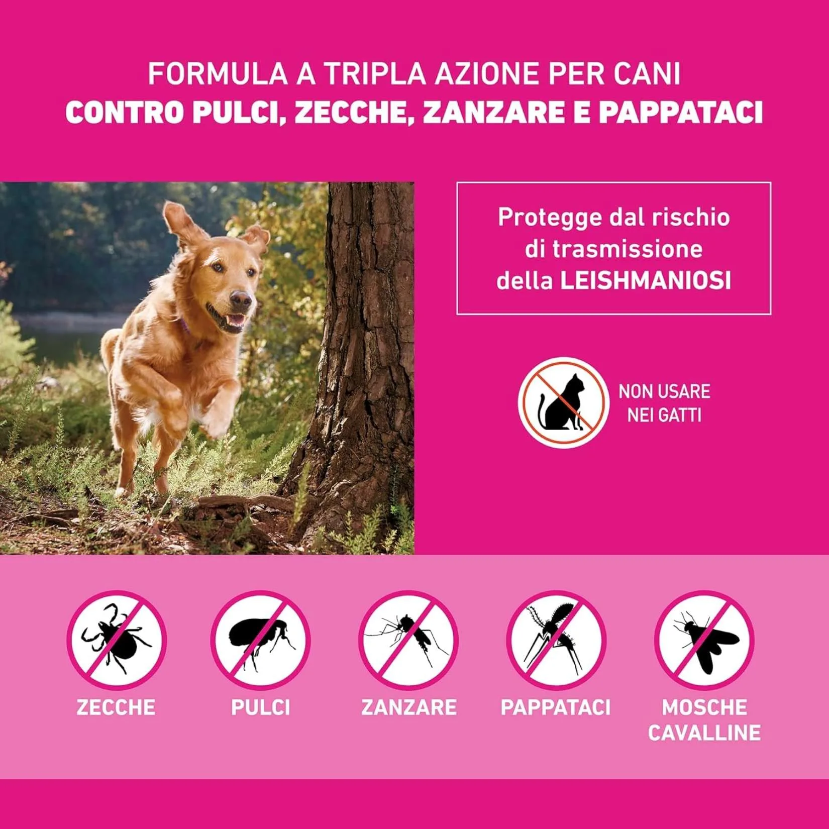 FRONTLINE Triact 6 Pipette per Cani Taglia M (10-20 kg) – Antiparassitario Lunga Durata Contro Pulci, Zecche, Zanzare, Pappataci e Leishmaniosi - immagine 5