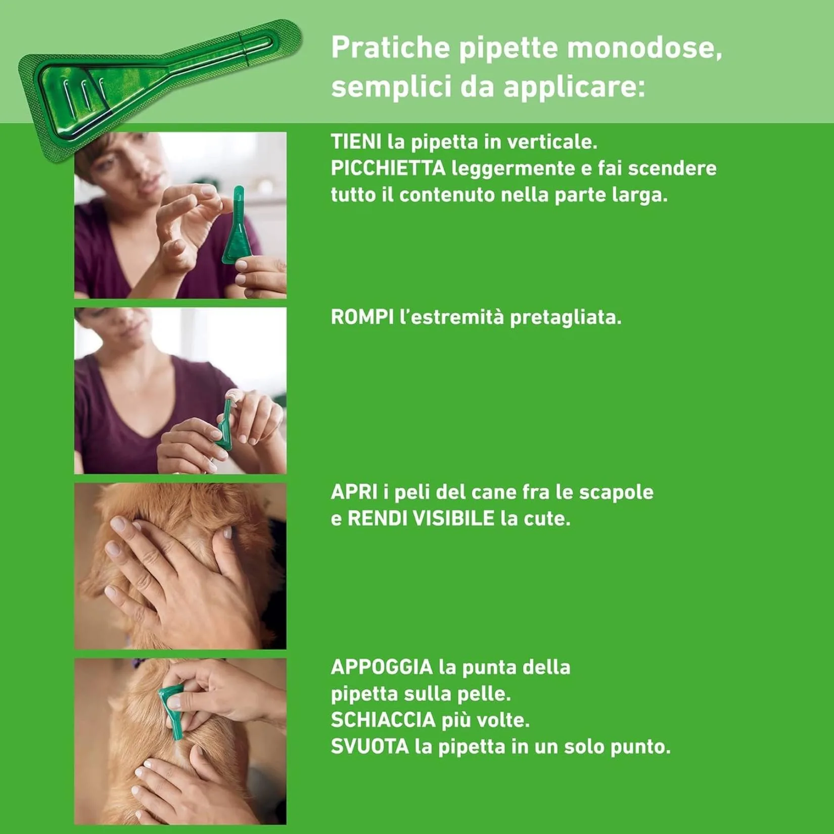 BOEHRINGER – Frontline Combo Spot-On Cani 2-10 Kg – Antiparassitario in Pipette per Pulci, Zecche, Uova e Larve – Protezione Completa con Azione Prolungata - immagine 4
