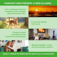 BOEHRINGER – Frontline Combo Spot-On Cani 2-10 Kg – Antiparassitario in Pipette per Pulci, Zecche, Uova e Larve – Protezione Completa con Azione Prolungata - immagine 5