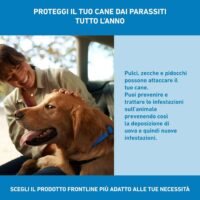 BOEHRINGER Frontline Spot On Cani Taglia L (20-40 kg) – 4 Pipette Antiparassitarie Contro Pulci, Zecche e Pidocchi – Protezione Lunga Durata per Cani e Cuccioli - immagine 3
