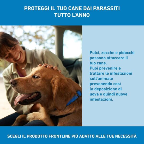 BOEHRINGER Frontline Spot On Cani Taglia L (20-40 kg) – 4 Pipette Antiparassitarie Contro Pulci, Zecche e Pidocchi – Protezione Lunga Durata per Cani e Cuccioli - immagine 3