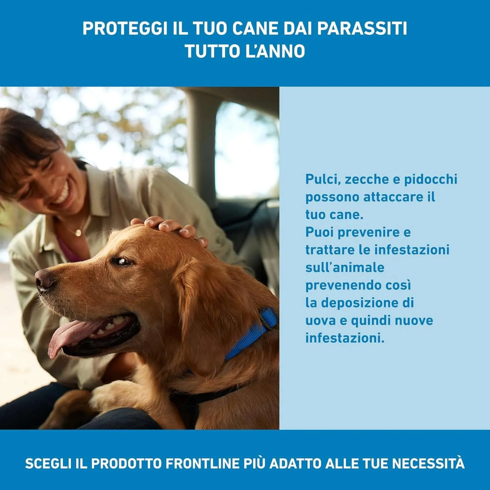 BOEHRINGER Frontline Spot On Cani Taglia L (20-40 kg) – 4 Pipette Antiparassitarie Contro Pulci, Zecche e Pidocchi – Protezione Lunga Durata per Cani e Cuccioli - immagine 3