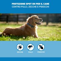 BOEHRINGER Frontline Spot On Cani Taglia L (20-40 kg) – 4 Pipette Antiparassitarie Contro Pulci, Zecche e Pidocchi – Protezione Lunga Durata per Cani e Cuccioli - immagine 5