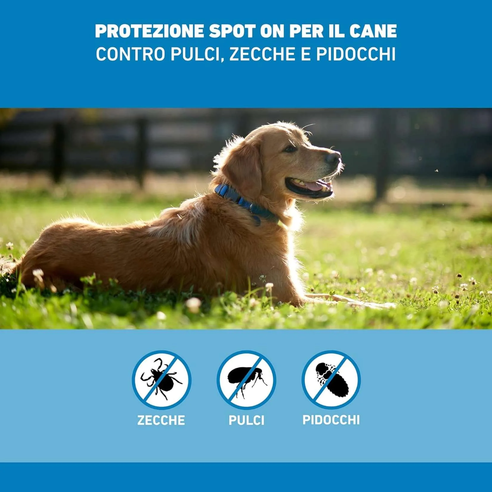 BOEHRINGER Frontline Spot On Cani Taglia L (20-40 kg) – 4 Pipette Antiparassitarie Contro Pulci, Zecche e Pidocchi – Protezione Lunga Durata per Cani e Cuccioli - immagine 5