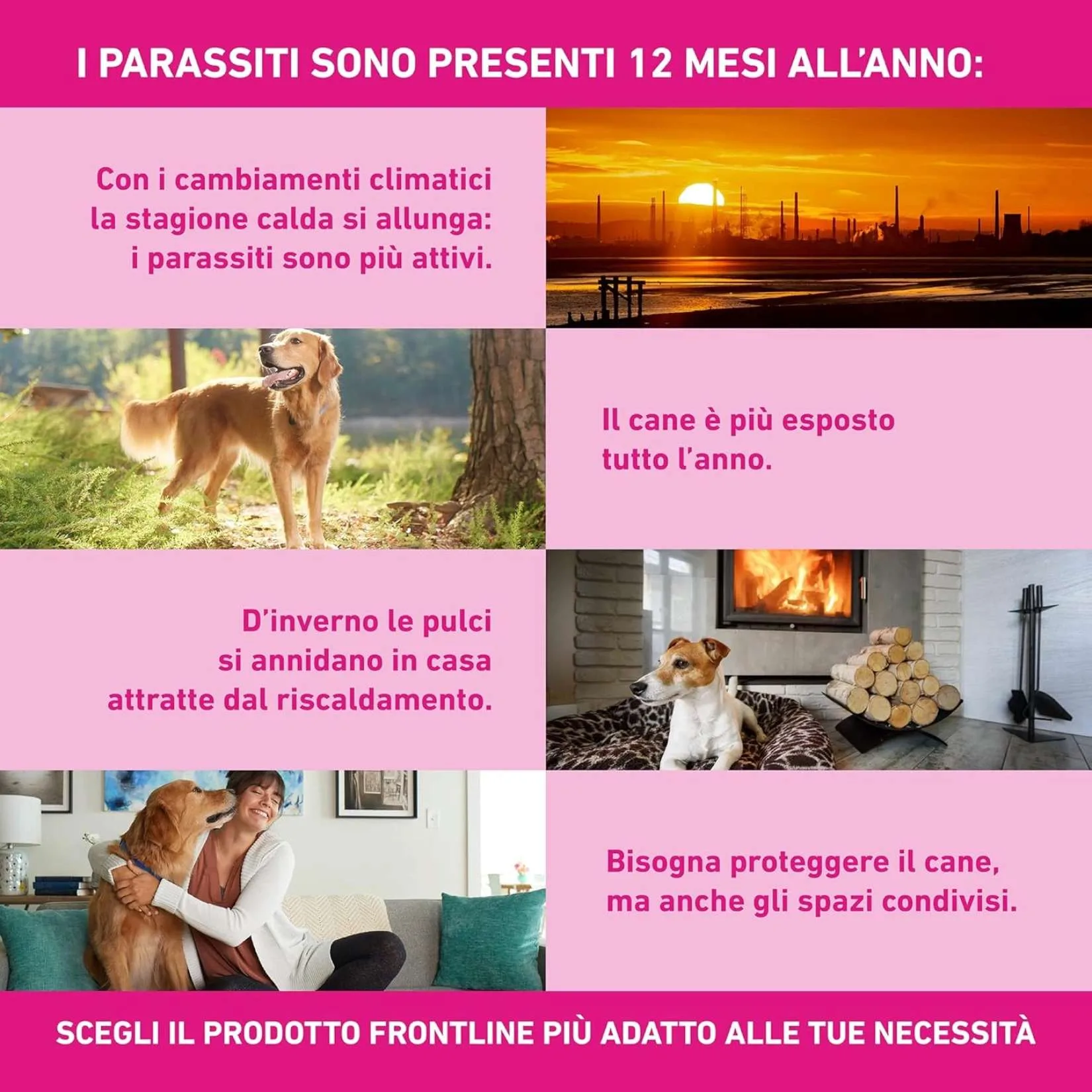FRONTLINE TRI-ACT Cani 40-60 Kg - 6 Pipette - Antiparassitario BOEHRINGER - Protezione contro Pulci, Zecche e Pappataci - immagine 5