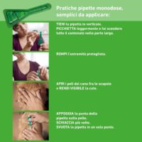 Boehringer Frontline Combo XL per Cani oltre 40 Kg – 3 Pipette Antiparassitarie – Protezione Completa da Pulci, Zecche, Uova e Larve per Cane e Ambiente - immagine 4