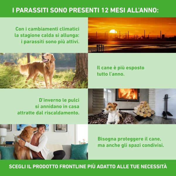 Boehringer Frontline Combo XL per Cani oltre 40 Kg – 3 Pipette Antiparassitarie – Protezione Completa da Pulci, Zecche, Uova e Larve per Cane e Ambiente - immagine 5