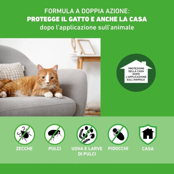 Boehringer – Frontline Combo per Gatti e Furetti – 3 Pipette Antiparassitarie Spot-On – Protezione Totale contro Pulci, Zecche, Uova e Larve - immagine 3