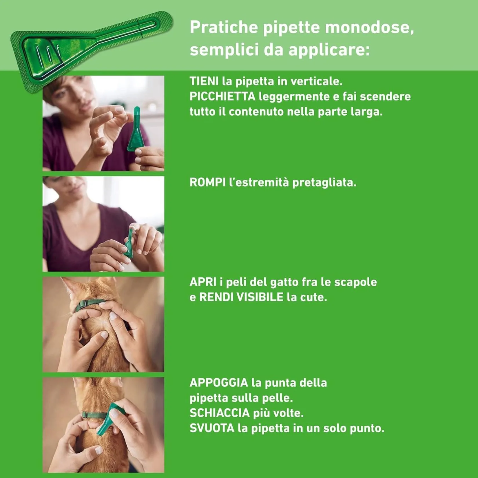 Boehringer – Frontline Combo per Gatti e Furetti – 3 Pipette Antiparassitarie Spot-On – Protezione Totale contro Pulci, Zecche, Uova e Larve - immagine 4