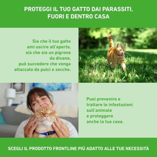 Boehringer – Frontline Combo per Gatti e Furetti – 3 Pipette Antiparassitarie Spot-On – Protezione Totale contro Pulci, Zecche, Uova e Larve - immagine 5