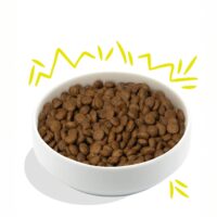 Edgard & Cooper Crocchette Cani Adulti 7Kg – Gusto Carote e Zucchine – Alimento Naturale e Bilanciato - immagine 3