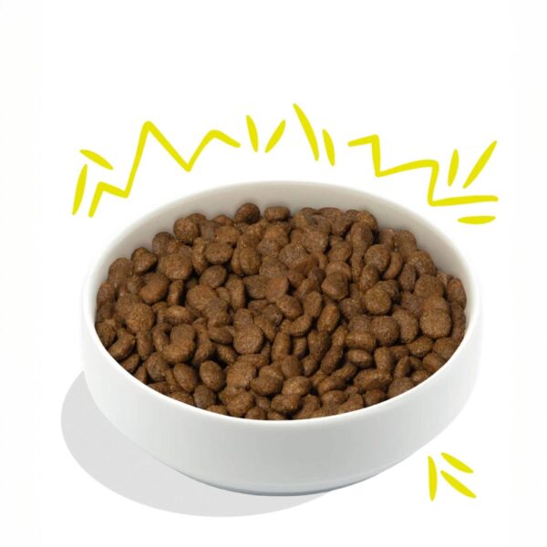 Edgard & Cooper Crocchette Cani Adulti 7Kg – Gusto Carote e Zucchine – Alimento Naturale e Bilanciato - immagine 3