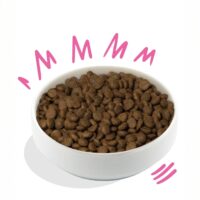Edgard & Cooper Crocchette Cani Adulti 7 Kg – Barbabietola e Zucca – Alimento Naturale Completo e Bilanciato - immagine 2