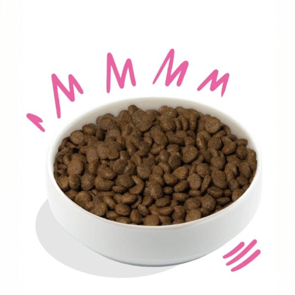 Edgard & Cooper Crocchette Cani Adulti 7 Kg – Barbabietola e Zucca – Alimento Naturale Completo e Bilanciato - immagine 2