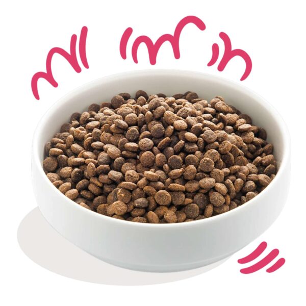 Edgard & Cooper Crocchette Cani Adulti 7 Kg – Manzo e Pollo Biologici – Alimentazione Naturale e Bilanciata - immagine 5