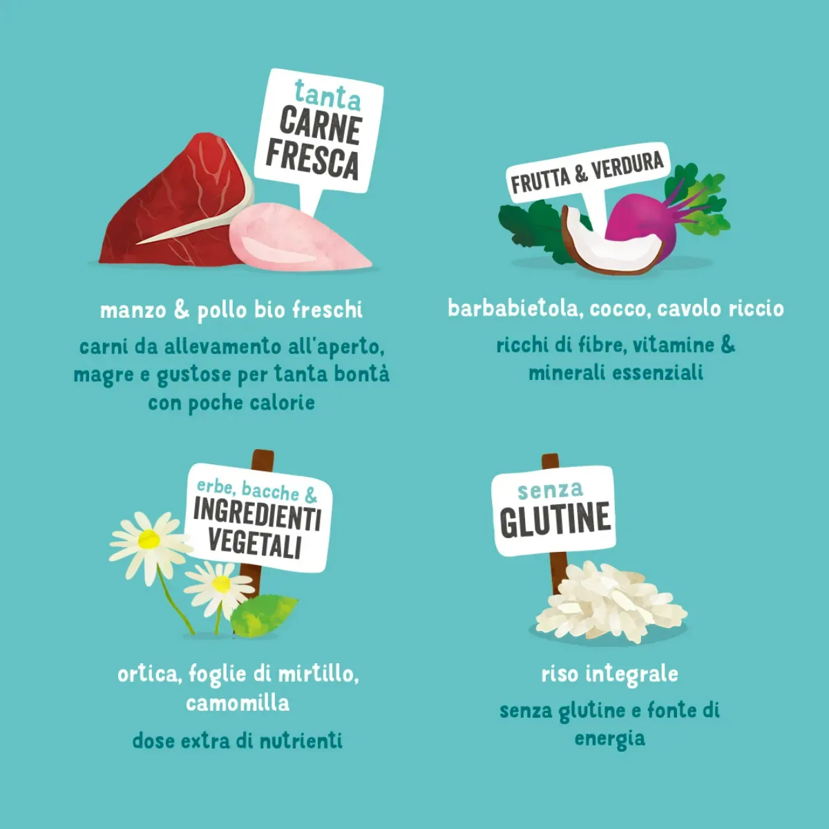 Edgard & Cooper Crocchette Cani Adulti 7 Kg – Manzo e Pollo Biologici – Alimentazione Naturale e Bilanciata - immagine 4