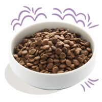 Edgard & Cooper Crocchette Cani Puppy Junior 12 Kg – Salmone e Tacchino – Alimento Completo per Cuccioli - immagine 3
