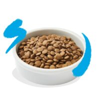 Edgard & Cooper Crocchette Gatti 4Kg – Salmone Fresco – Alimento Naturale Ricco di Omega 3 per Gatti Adulti - immagine 2