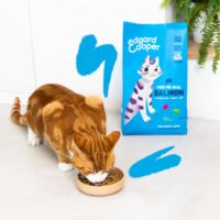 Edgard & Cooper Crocchette Gatti 4Kg – Salmone Fresco – Alimento Naturale Ricco di Omega 3 per Gatti Adulti - immagine 4