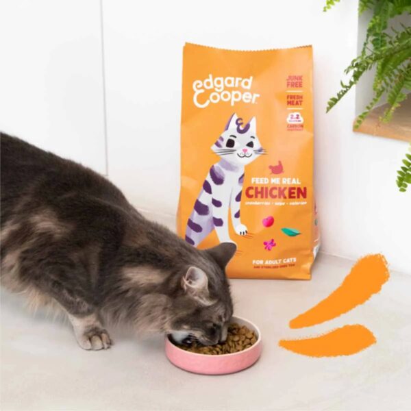 Edgard & Cooper Crocchette Gatti 4Kg – Pollo Fresco – Alimento Naturale e Ricco di Proteine per Gatti Adulti - immagine 3