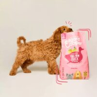 Edgard & Cooper Crocchette Cuccioli 12Kg – Anatra e Pollo Freschi – Alimento Secco Naturale e Bilanciato per la Crescita dei Cani Giovani - immagine 7