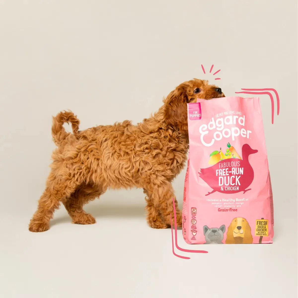 Edgard & Cooper Crocchette Cuccioli 7 Kg – Anatra e Pollo Freschi – Alimento Secco Naturale e Bilanciato per la Crescita dei Cani Giovani - immagine 5