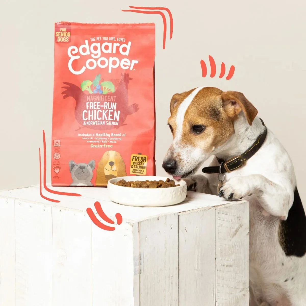 Edgard & Cooper Crocchette Cani Senior 7 Kg – Salmone e Pollo Freschi – Alimento Naturale e Leggero per Cani Anziani - immagine 6