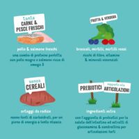 Edgard & Cooper Crocchette Cani Senior 2,5 Kg – Salmone e Pollo Freschi – Alimento Naturale e Leggero per Cani Anziani - immagine 5